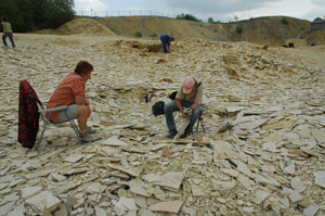 Blumenberg採石場での化石採集風景