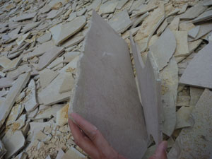 パカンと割れた石版石灰岩